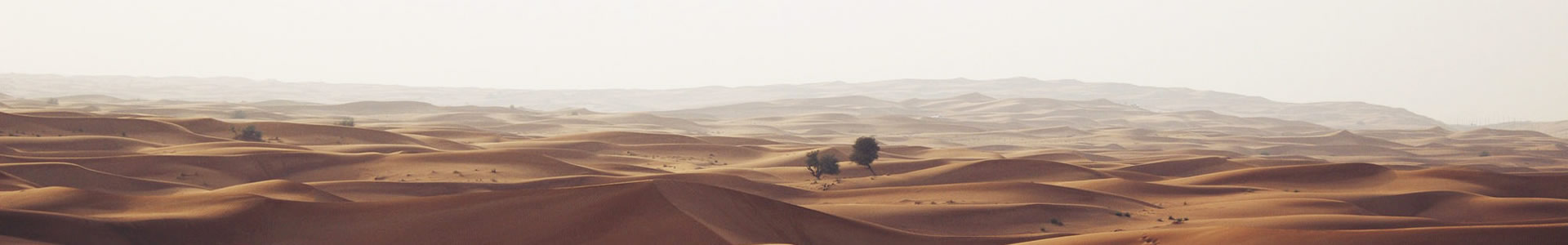 ɽĽ޹˾